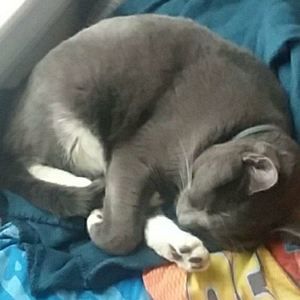 Meet your Posher, Samara